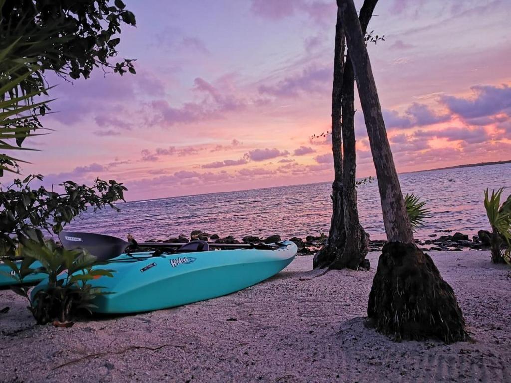 Tulsayab Luxury Development Apartment Tulum Exterior photo